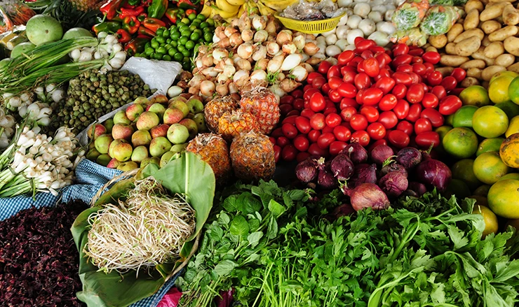 On the Menu: Can Food be the Planet’s Medicine? 