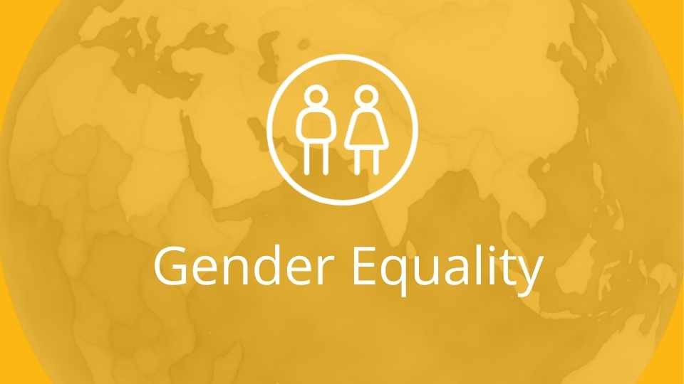 Outcomes Indicators | Gender Equality