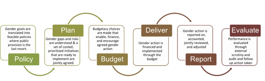 Highlighting a pressing need to consider not only what actions to take, but how those actions are taken and the governing institutional arrangements. The simple five-step process in the image below could be used to guide the development of an action plan to effectively drive gender actions through the budget. 