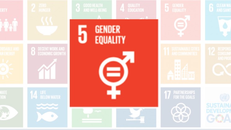 Gender Blog CLEAR LAB