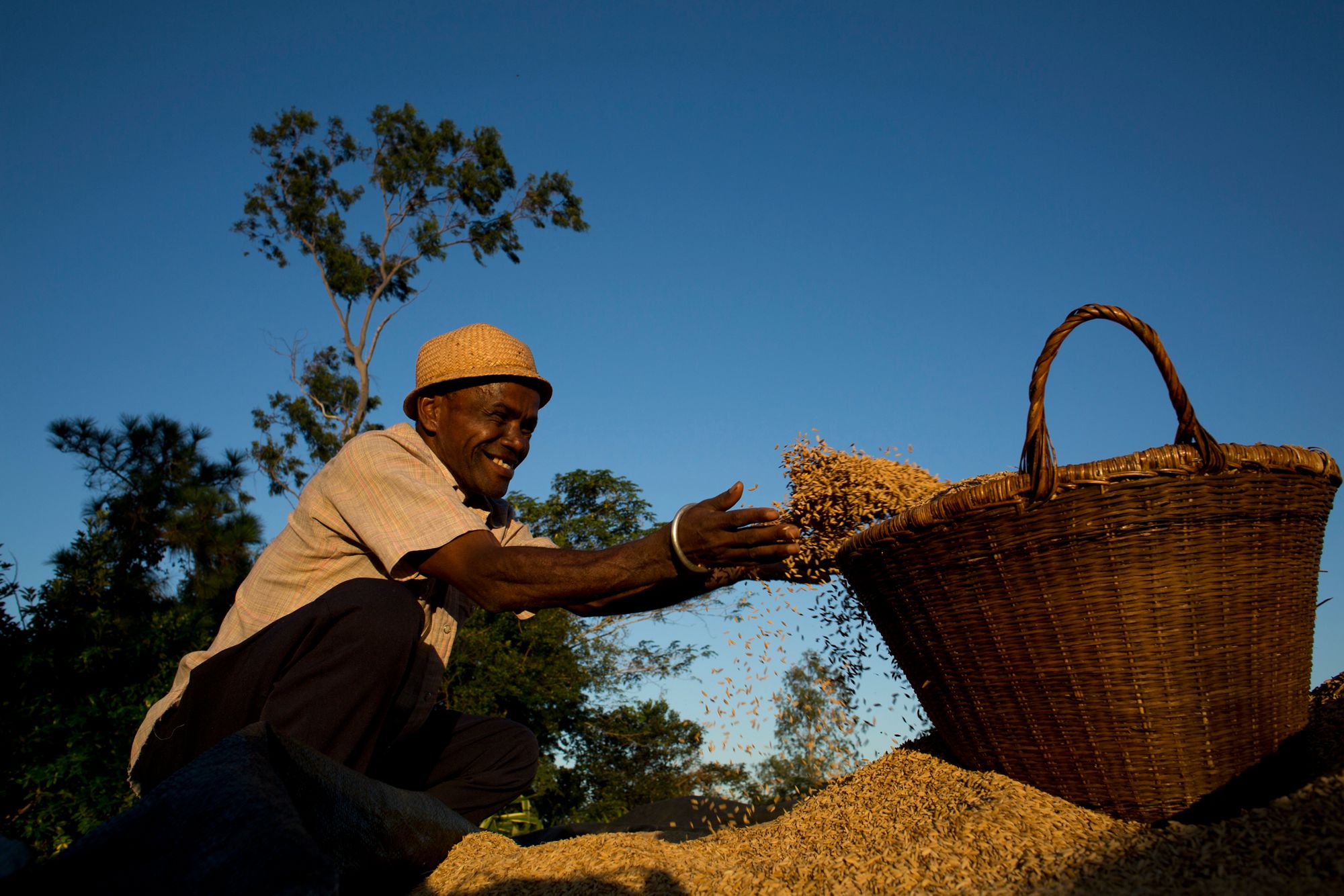 People collect grain that they harvested near the village of Mongaiky , Madagascar. Photo: Karel Prinsloo/IFC