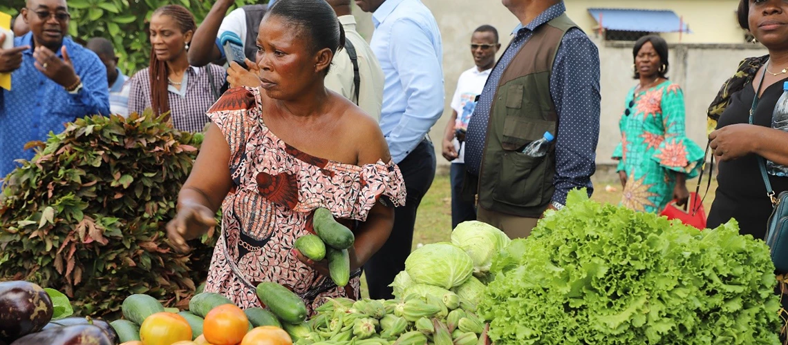 Grant Support for Smallholder Farmers: Boosting Agricultural Livelihoods in the Republic of Congo