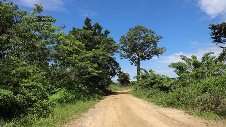 Grant Support for Smallholder Farmers: Boosting Agricultural Livelihoods in the Republic of Congo