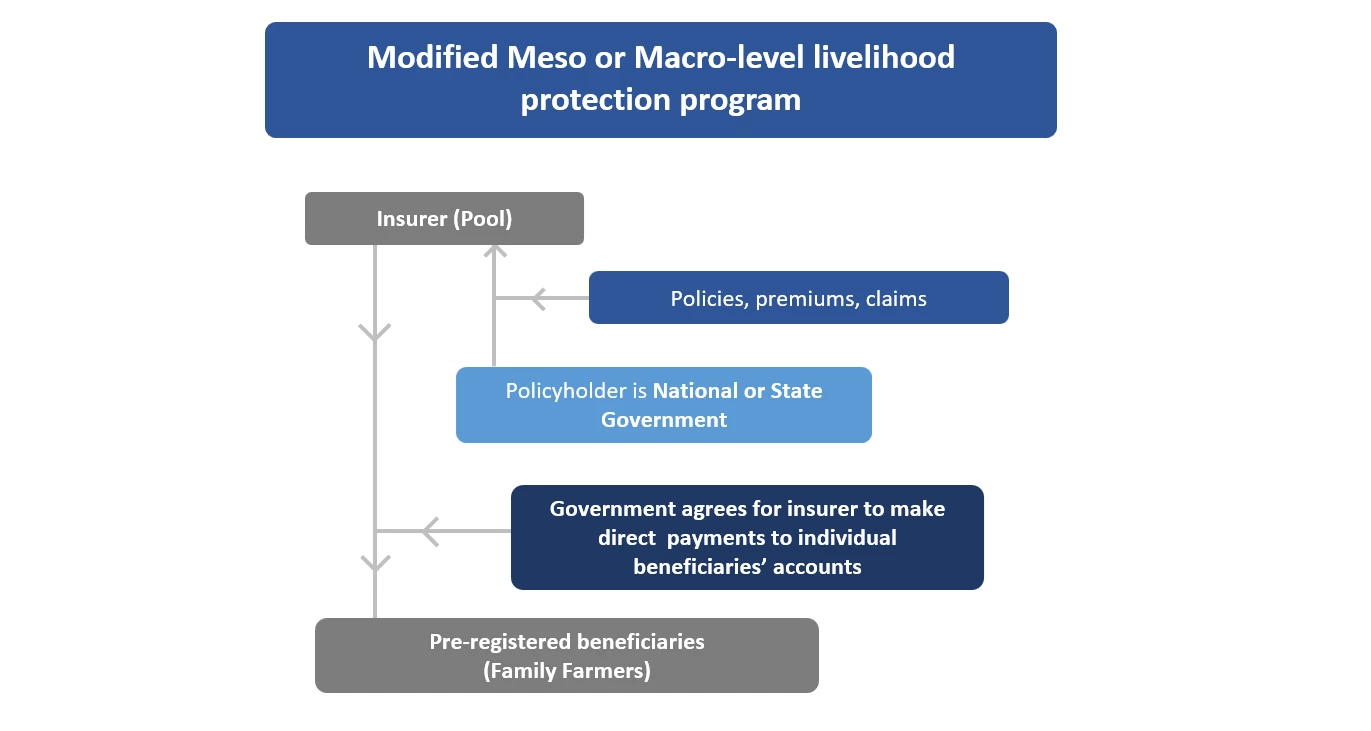 Modified Meso or Macro-Level livelihood protection program