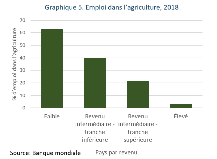 Graphique 5. Emploi dans l?agriculture, 2018