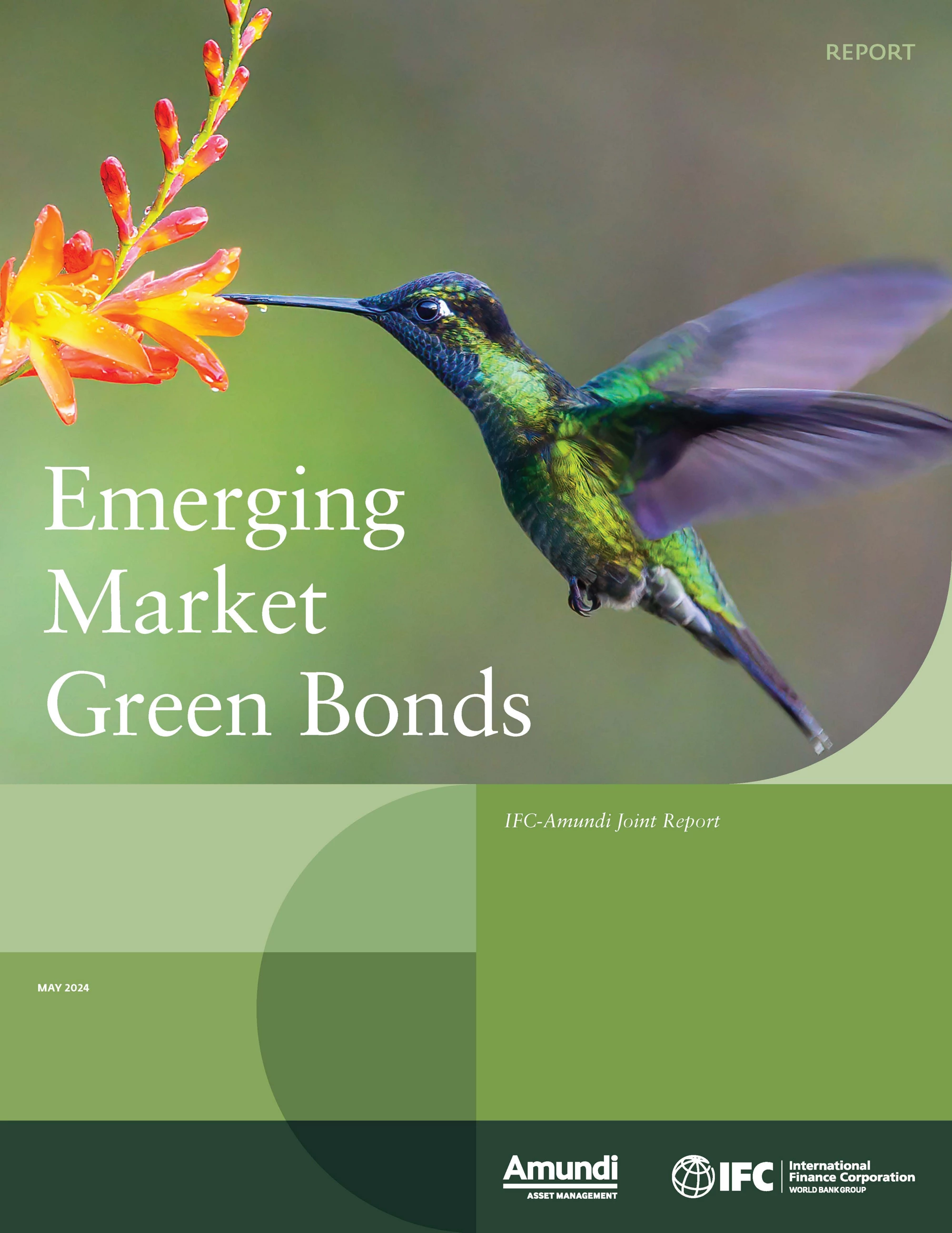 Cover of the 2023 emerging markets green bonds report.