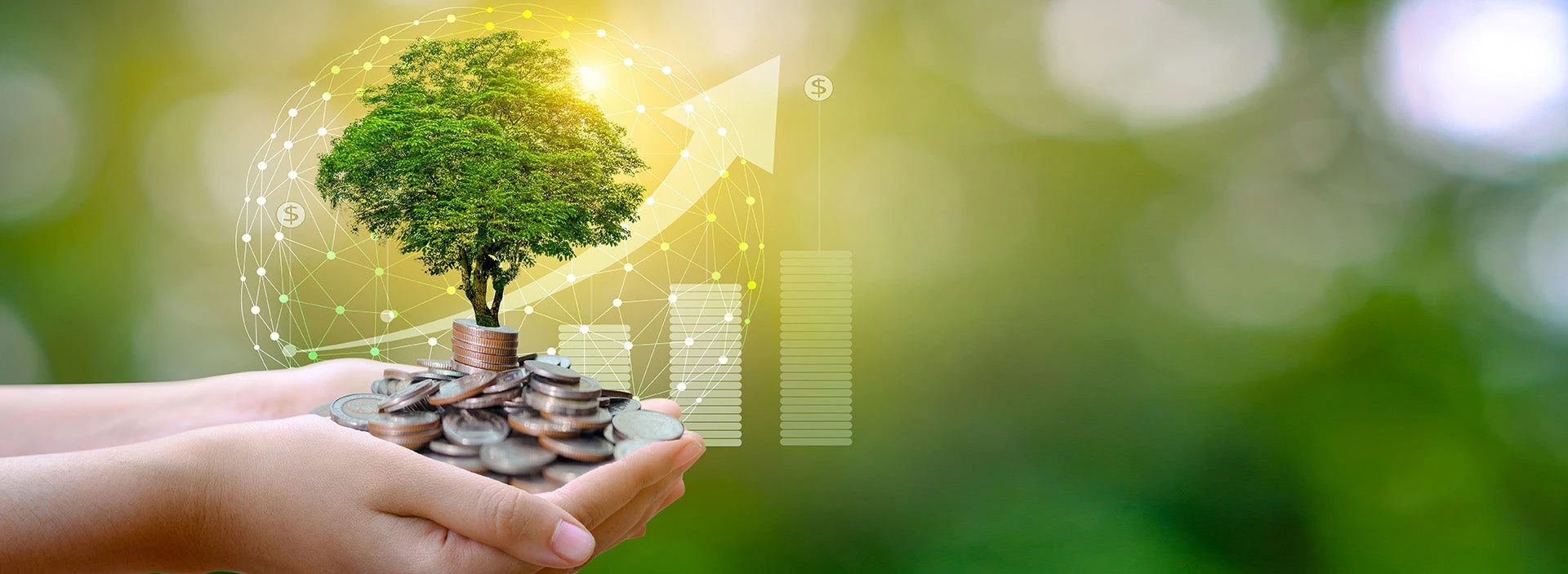 Green finance concept hands holding tree over graph and green background | © shutterstock.com