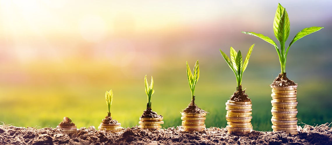 Plants on coins illustrating green finance concept | © shutterstock.com
