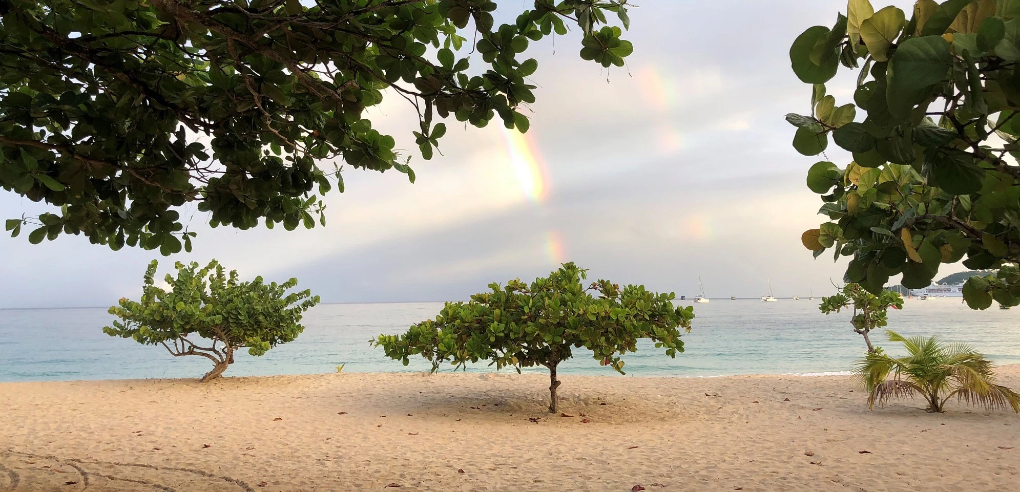 Rainbow in Grenada