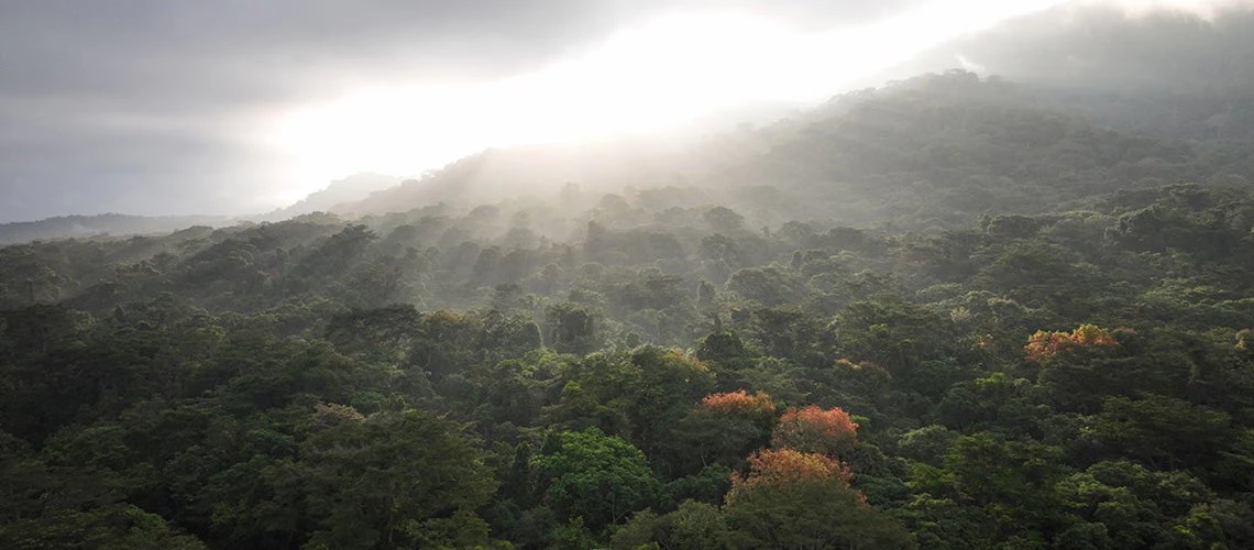 Sunrise on Mount Nimba.