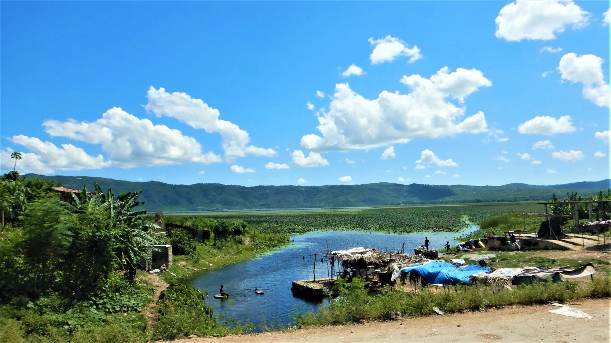 Resilient recovery: How can nature-based solutions improve transport infrastructure resilience? Lessons from Haiti