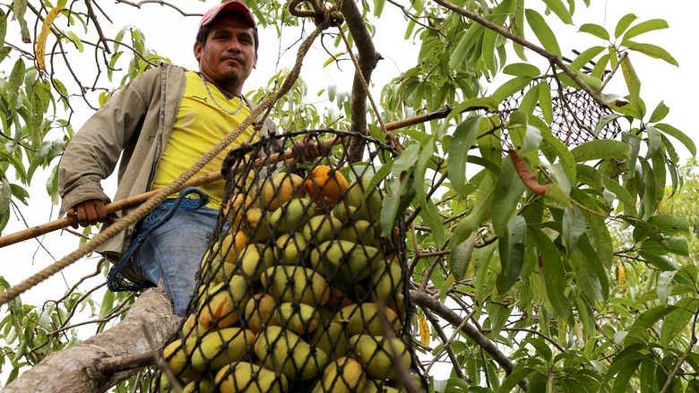 ¿Podría el coronavirus poner en peligro el suministro de alimentos?