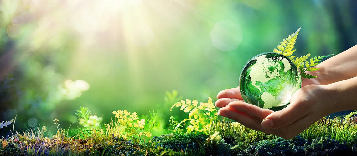 Hands Holding Globe Glass In Green Forest | © shutterstock.com