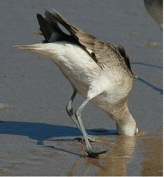 it can be hard at times to see what's coming