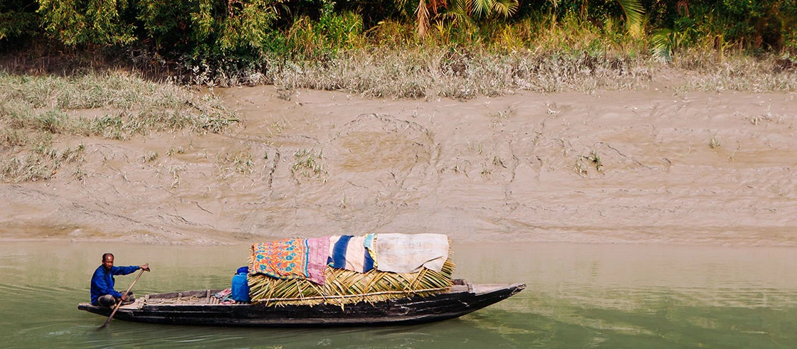 A Bangladeshi man rowing a boat near a tropical mangrove forest. Photo - PixHound / Shutterstock.com