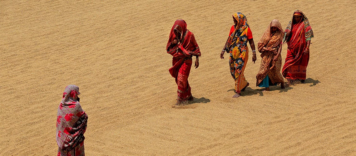 Agricultural import tariffs can have detrimental effects on the employment and earnings of rural women employed in the agricultural sector of Bangladesh.