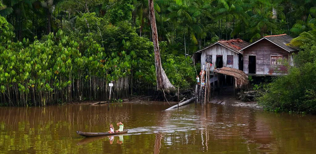 Floresta Amazônica na Ilha de Marajó, Brasil - Foto: Marcelo Camargo/Agência Brasil