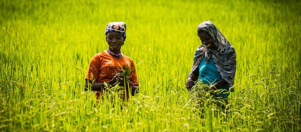 Photo: Arne Hoel / World Bank