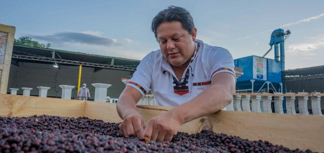 Jimmy Ramírez, agricultor en El Paraíso, Honduras, clasificando granos de café secos. 