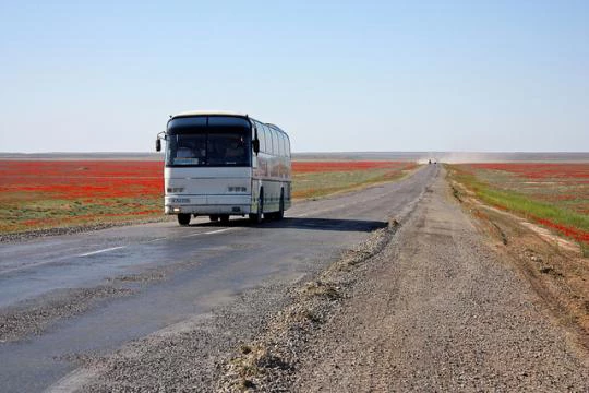 Bus crossing a steppe full of red poppies in Kazakhstan. Photo - Kubat Sydykov / World Bank