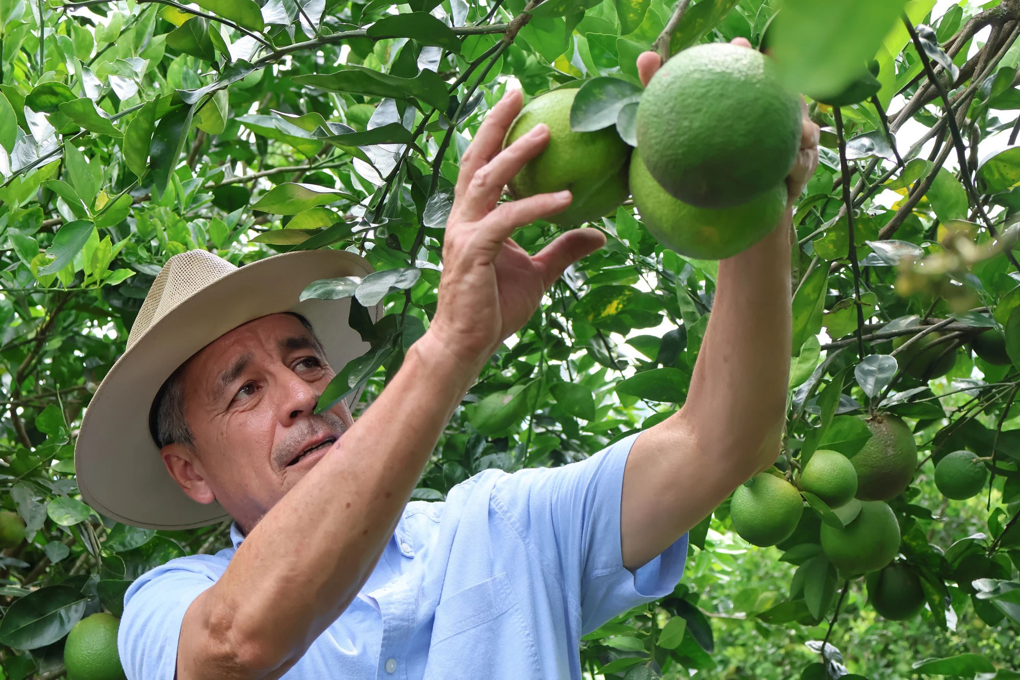  Finance Opens Pathways to Jobs and Stability