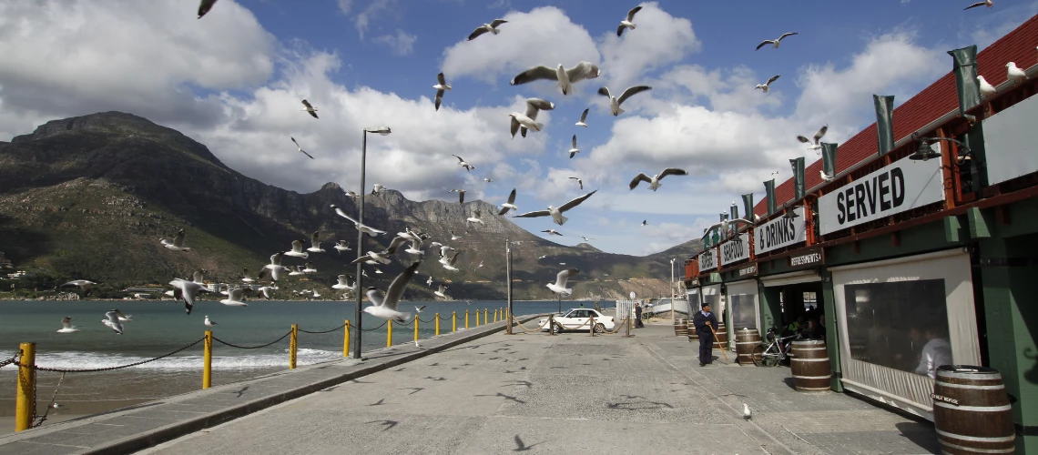 Fishing vessels arrive back in harbour and unload their catch of Hake in Hout Bay, Cape Town Western Cape, South Africa.