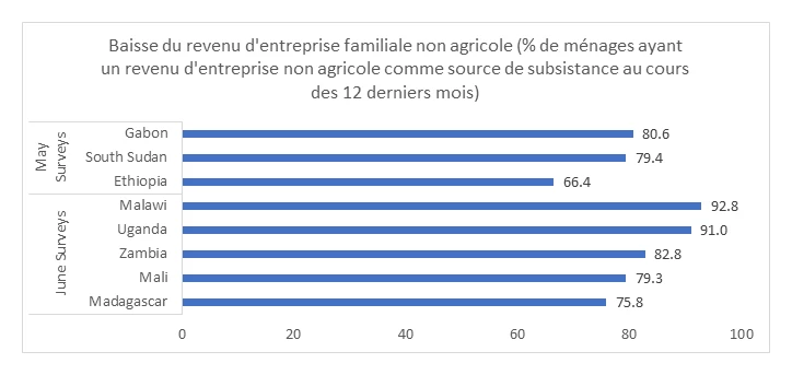 Baisse du revenu d'entreprise familiale non agricole (% de ménages ayant un revenu d'entreprise non agricole comme source de subsistance au cours des 12 derniers mois)