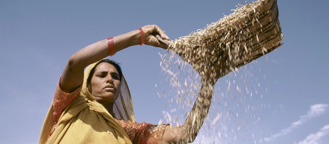 Sifting grain. India. Photo: Ray Witlin / World Bank