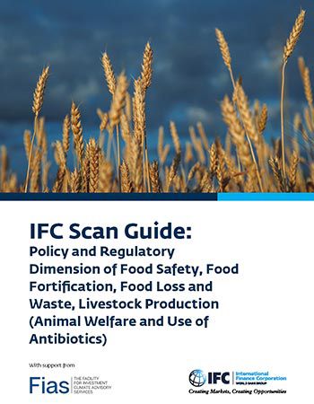 ifc-scan-guide-cover-thumbnail