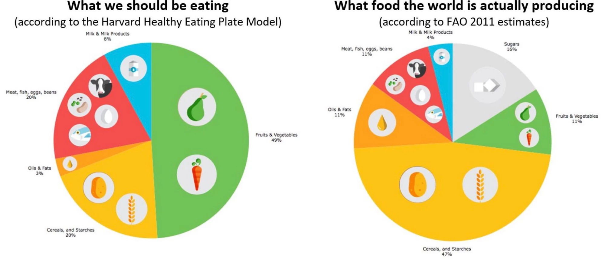 Harvard-FAO Food Chart