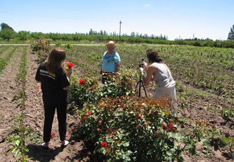 Le bureau pays en Uruguay interroge Teresa, une fermière bénéficiaire du projet de gestion intégrée des ressources naturelles et de la biodiversité.