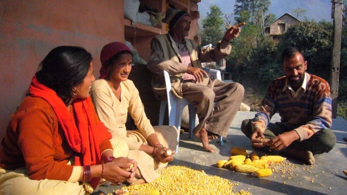 Shakuntala Devi shells corn with her visiting family