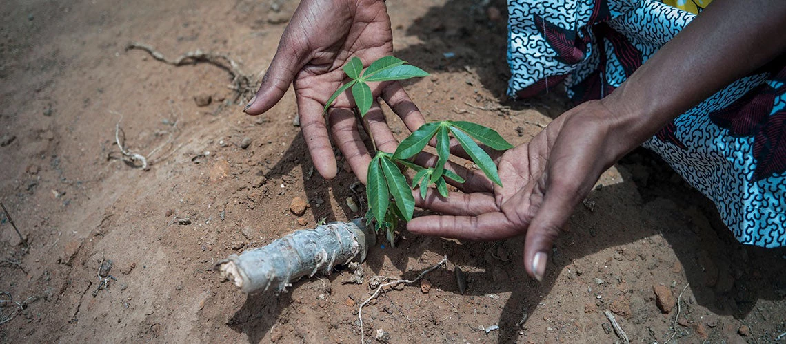 Increasing Southern Madagascar?s productivity to reduce famine now and trigger future transformation