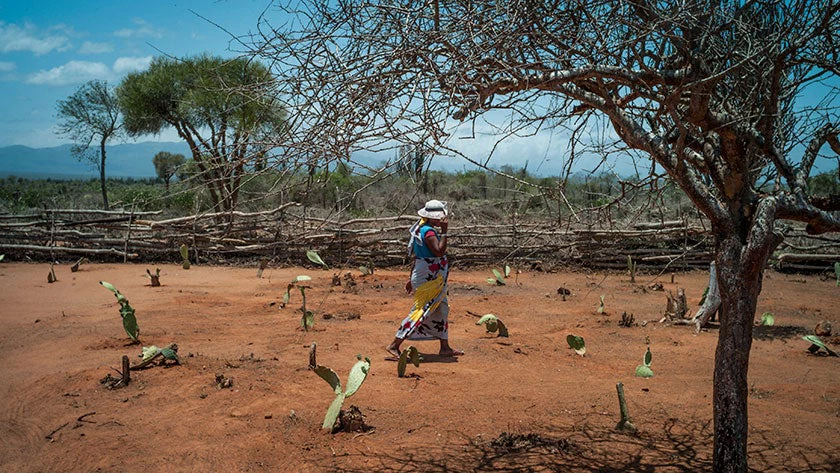 Increasing Southern Madagascar’s productivity to reduce famine now and trigger future transformation