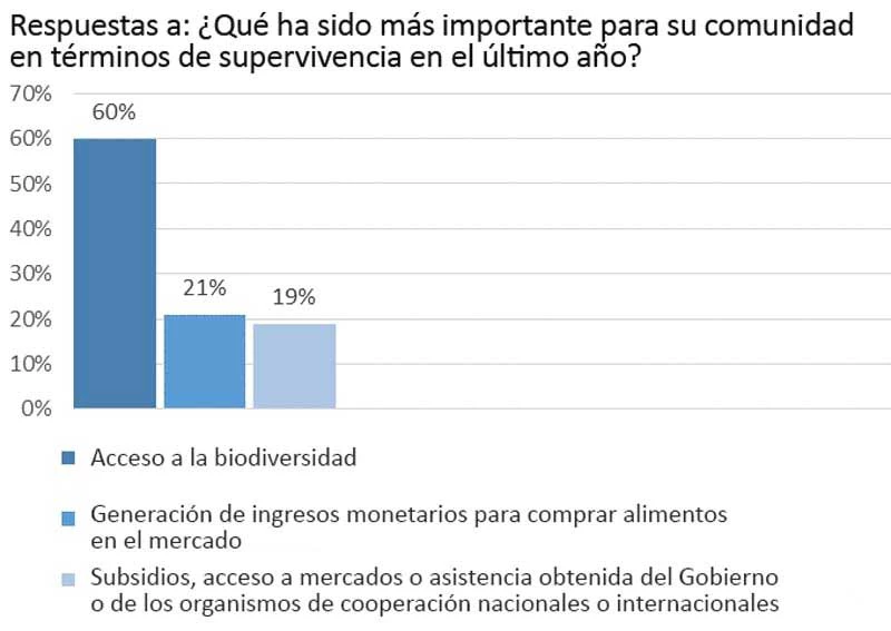 Resultados de la encuesta