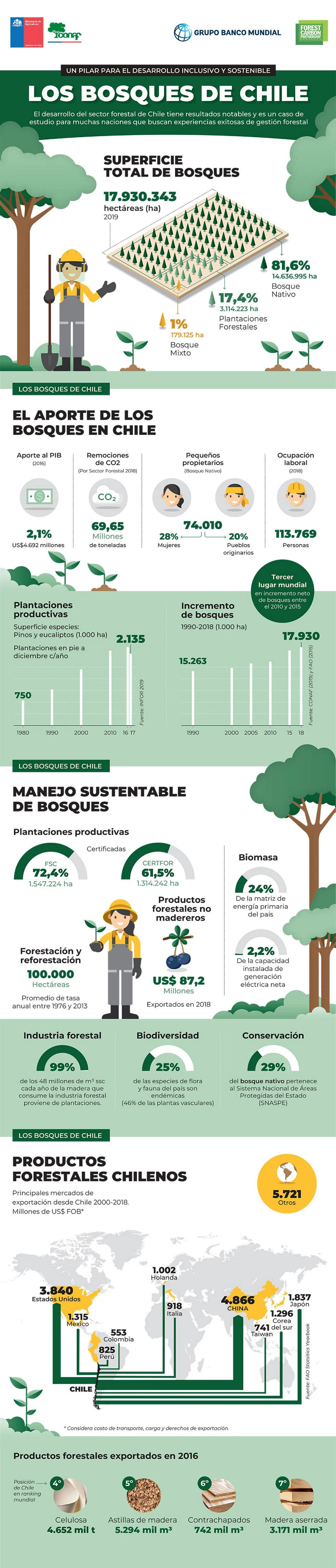 Infografía: Los bosques de Chile