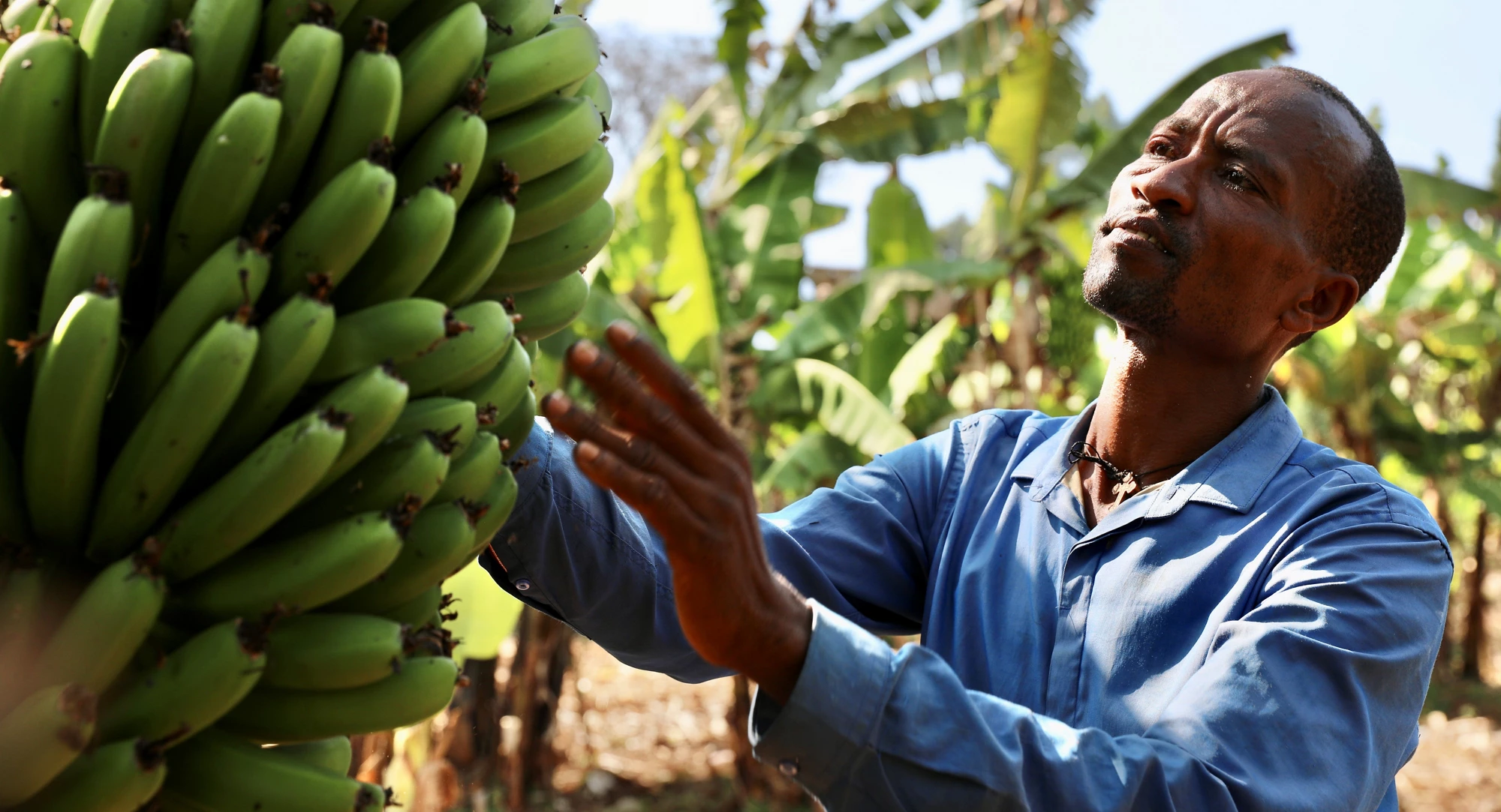 The pandemic is a stark reminder that planetary health and human health are interconnected and that economies can only thrive on a healthy planet. Photo: © World Bank