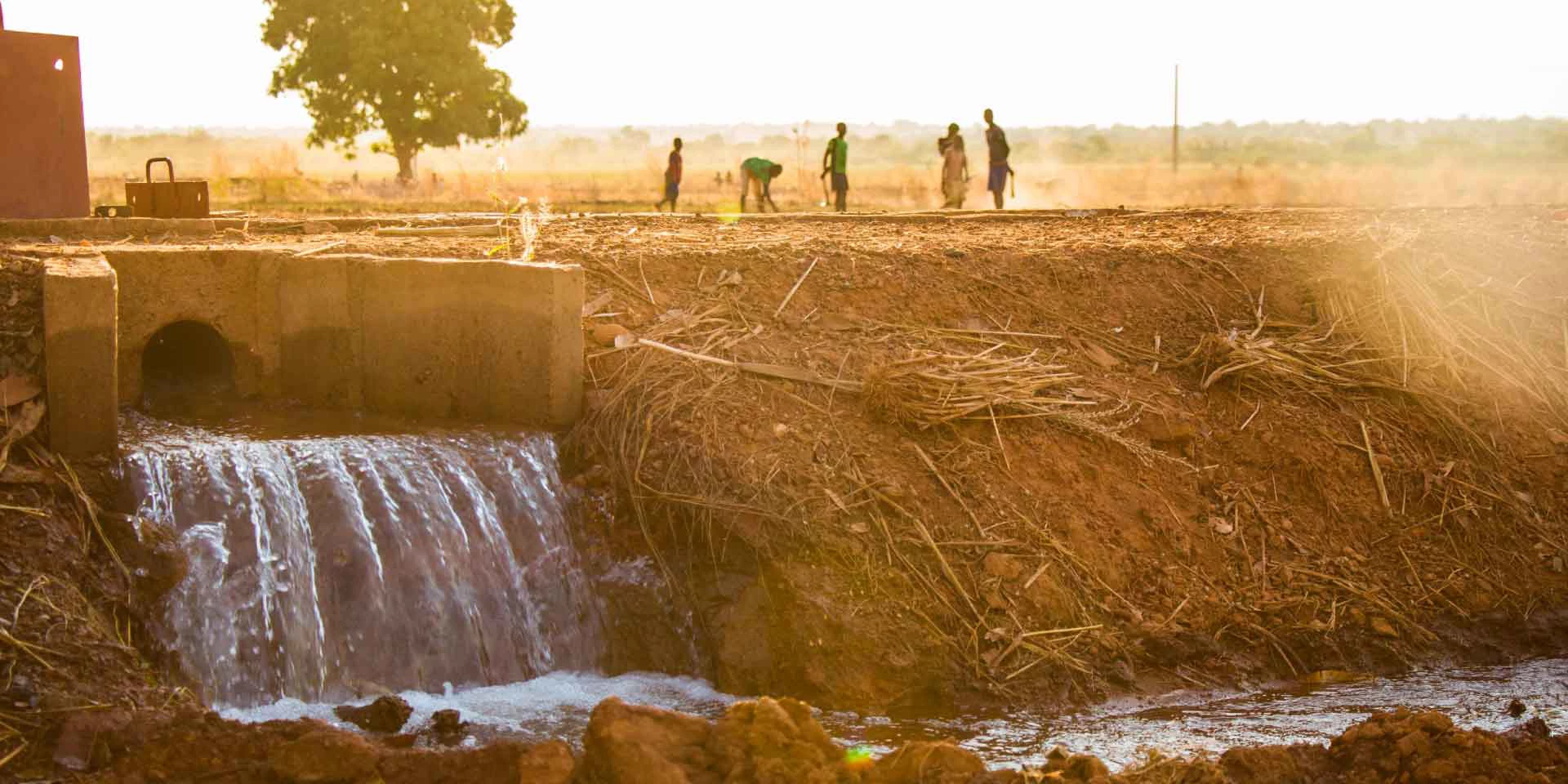 Irrigation system.