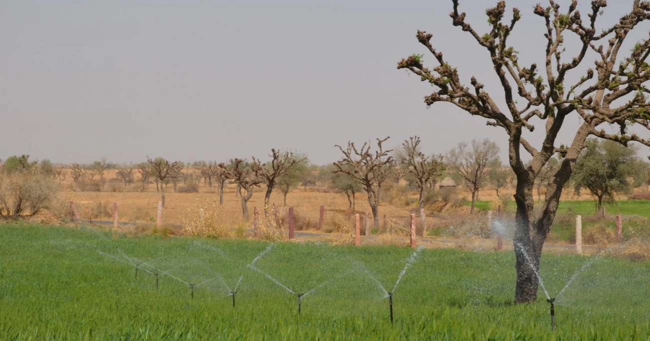 Irrigation Investment