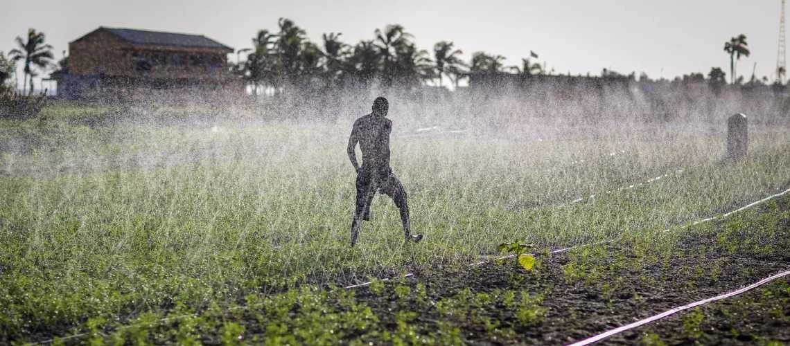 Growing populations mean more water is needed to produce food. Photo: Nana Kofi Acquah / Creative Commons