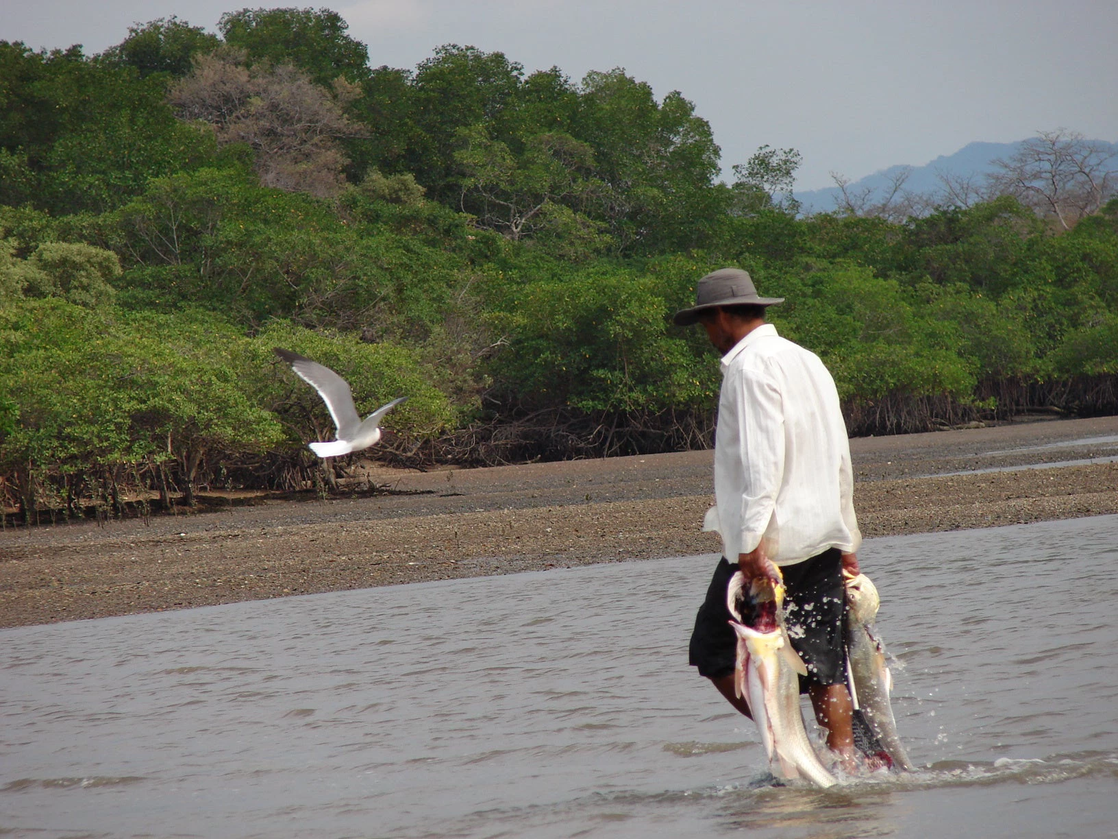 Pescador en Isla Chira, Costa Rica. Cynthia Flores Mora/ Banco Mundial