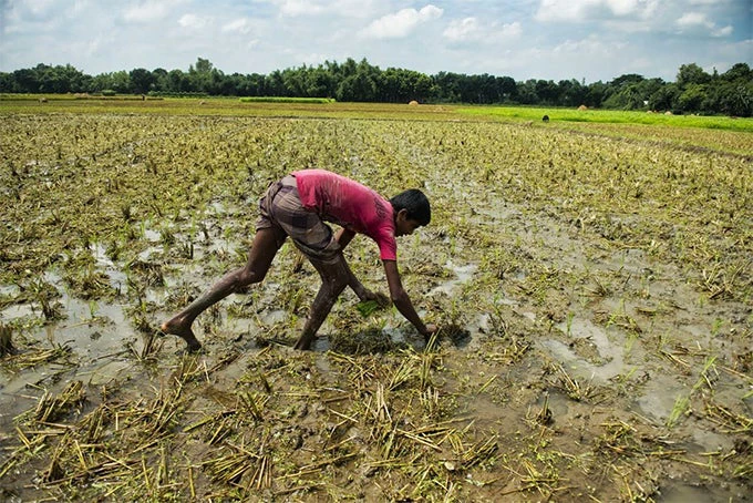  Dealing with population migration in Bangladesh 