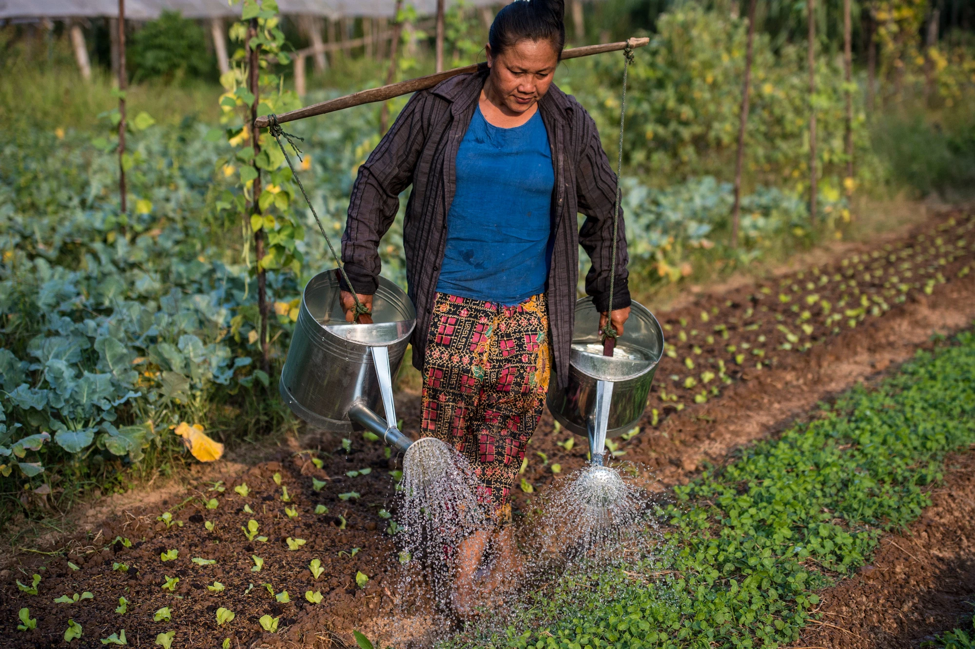 Women in water and agriculture