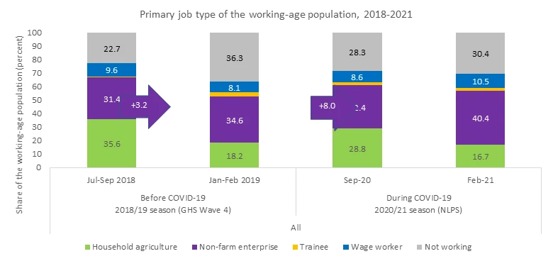 Workers turned to small-scale non-farm enterprise activities to cope with the COVID-19 crisis