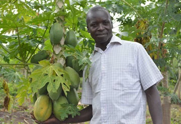 Johm Obuom, agricultor