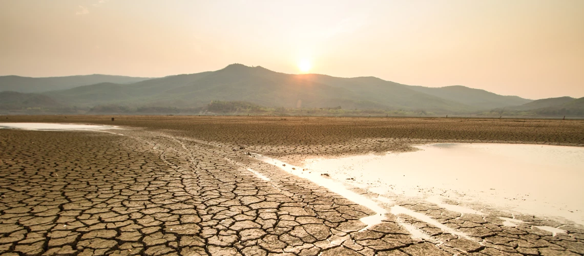 Climate change and drought impact
