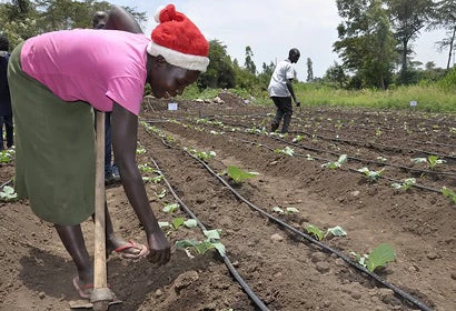  CGIAR Climate.