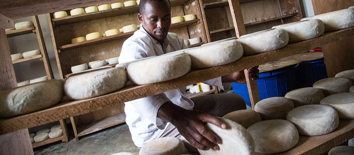 Claude has been a cheesemonger since 2010. He works at a dairy farm in Masisi, in Eastern DRC. 