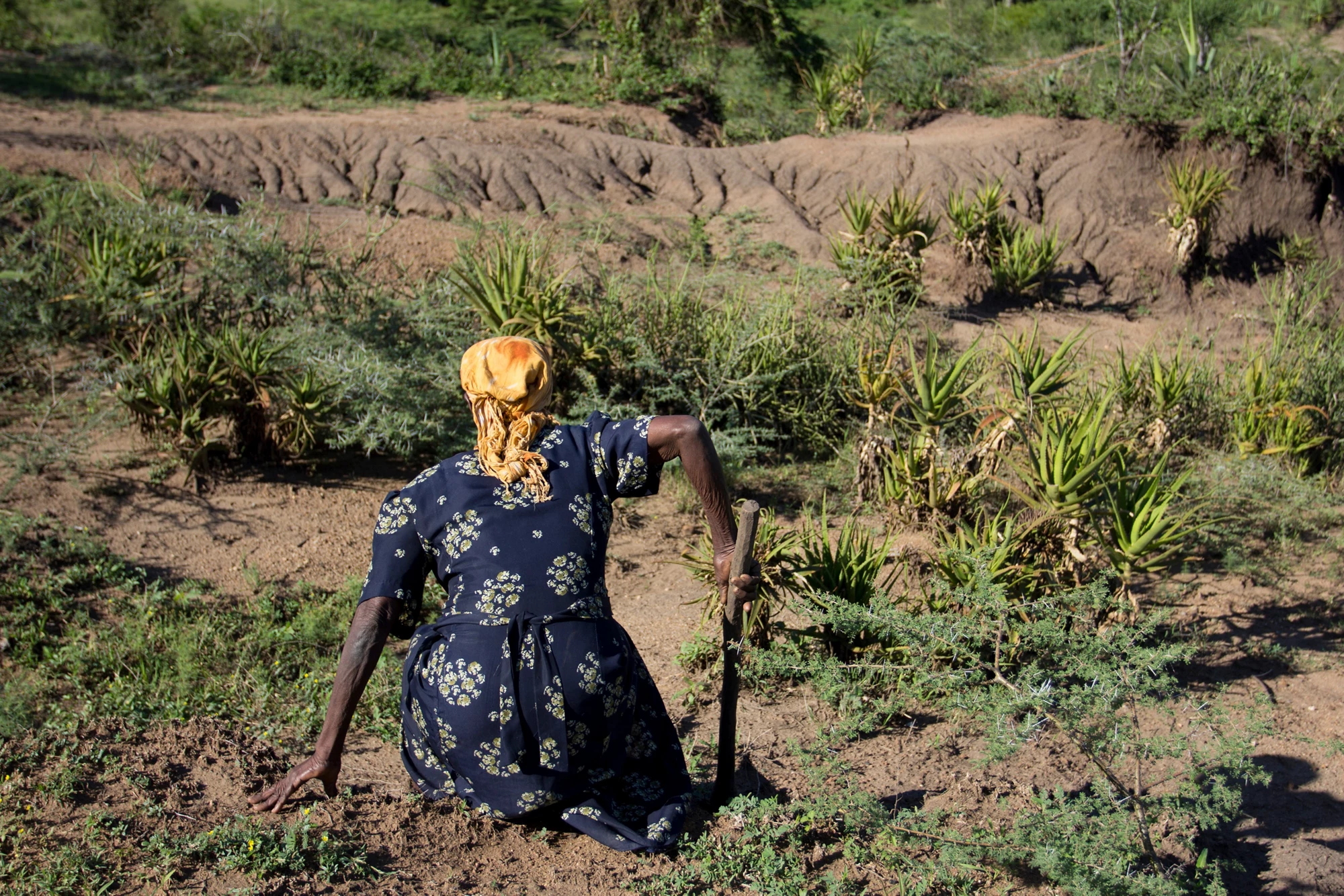 Kenya-kisumu