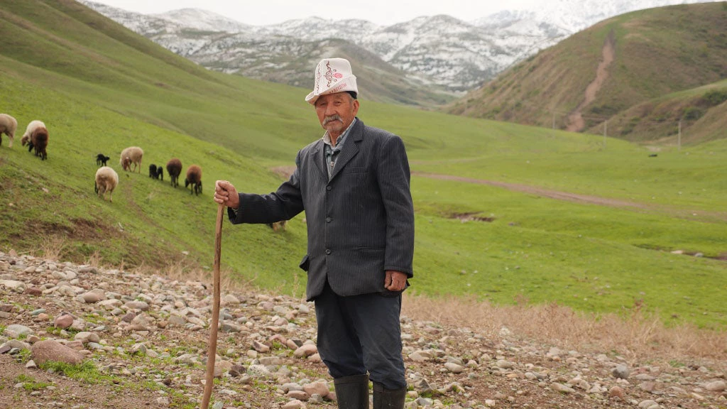 Summer pasture in alpine meadows, Kyrgyz Republic.